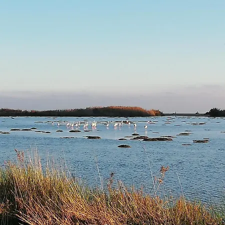 Alojamento de Acomodação e Pequeno-almoço Sinnai 3*