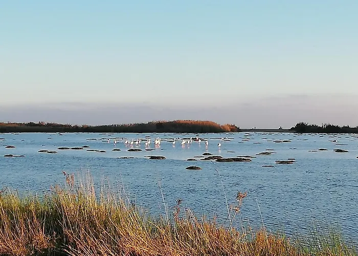 Bed & Breakfast Sinnai 3*